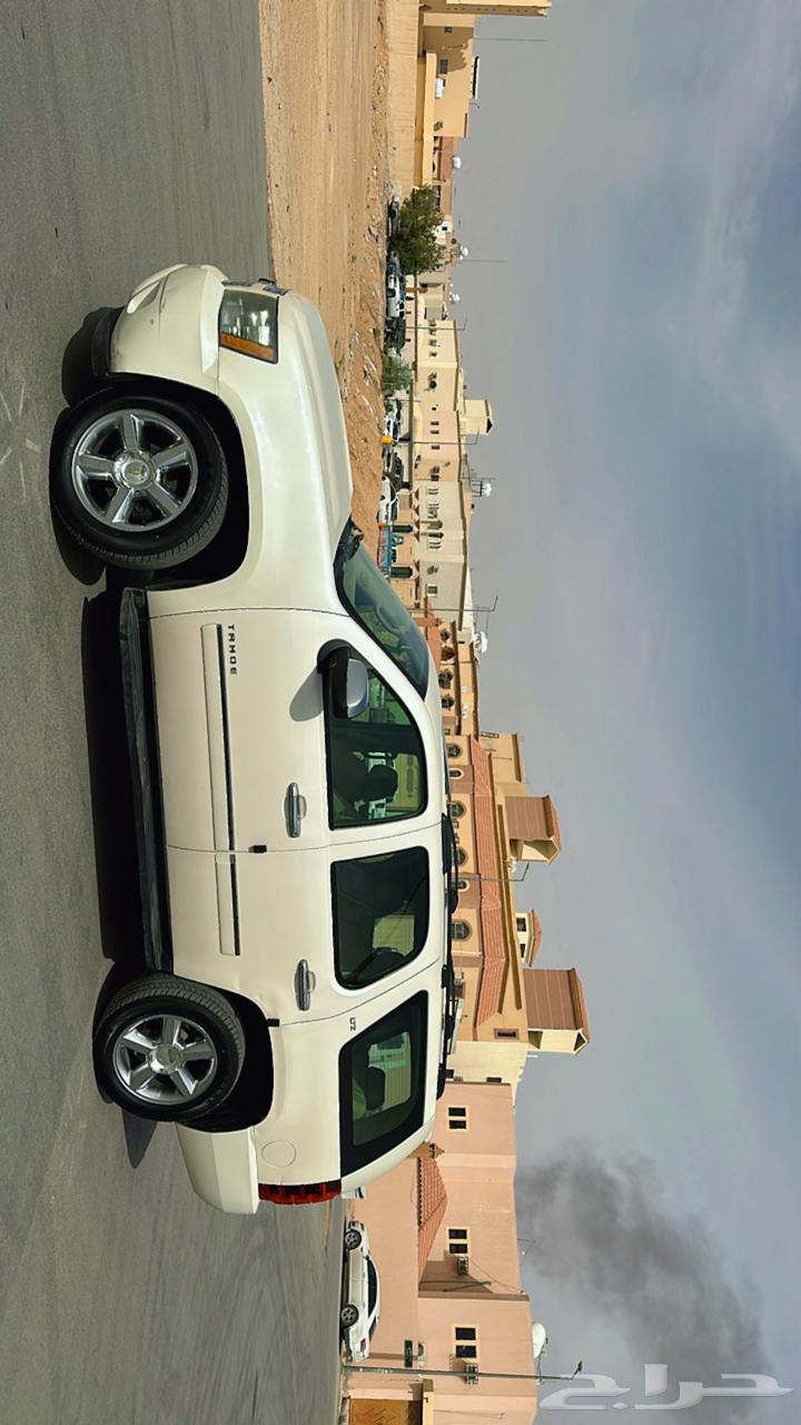 Tahu 2014 LTZ63077585497345111