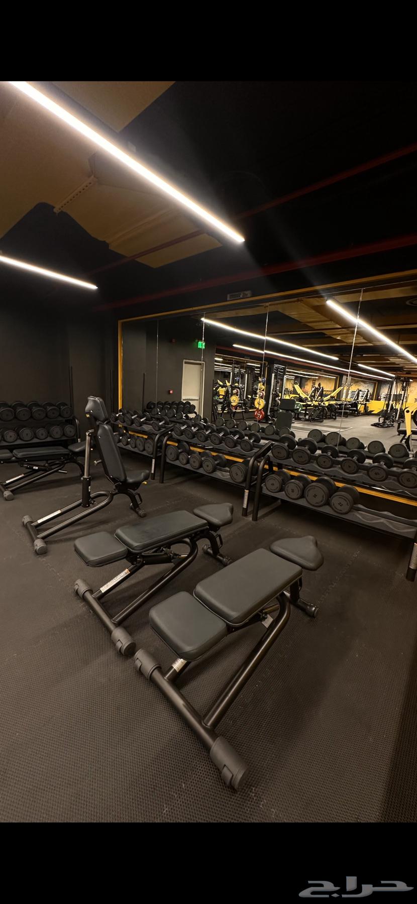 Wagta Al-Layeqa Club63053279347331111