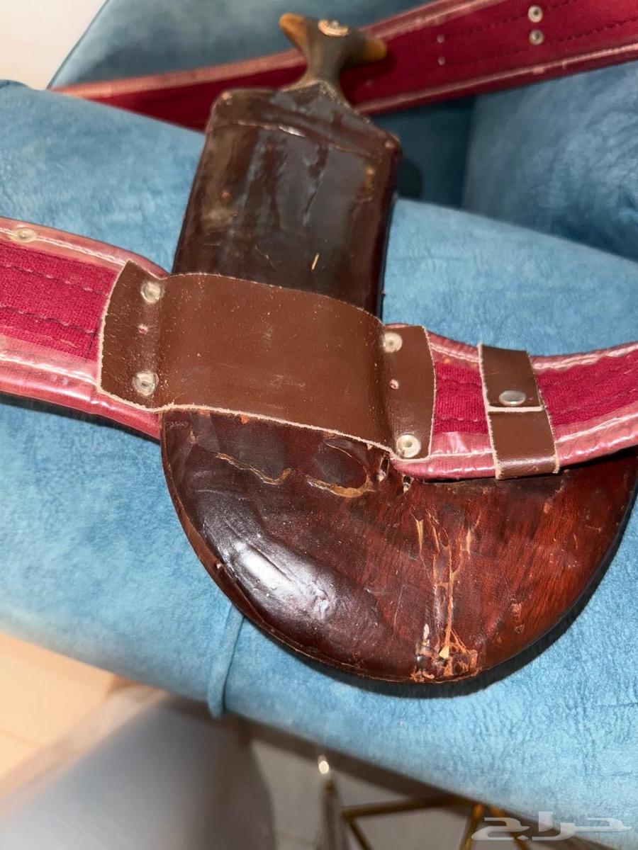 النوع جنبيّة زراف صنعاني، الجنبيّة كفو.  
للتواصل63470411406593112