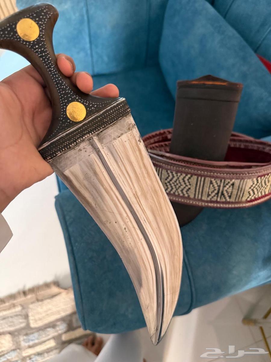النوع جنبيّة زراف صنعاني، الجنبيّة كفو.  
للتواصل63470411406593114