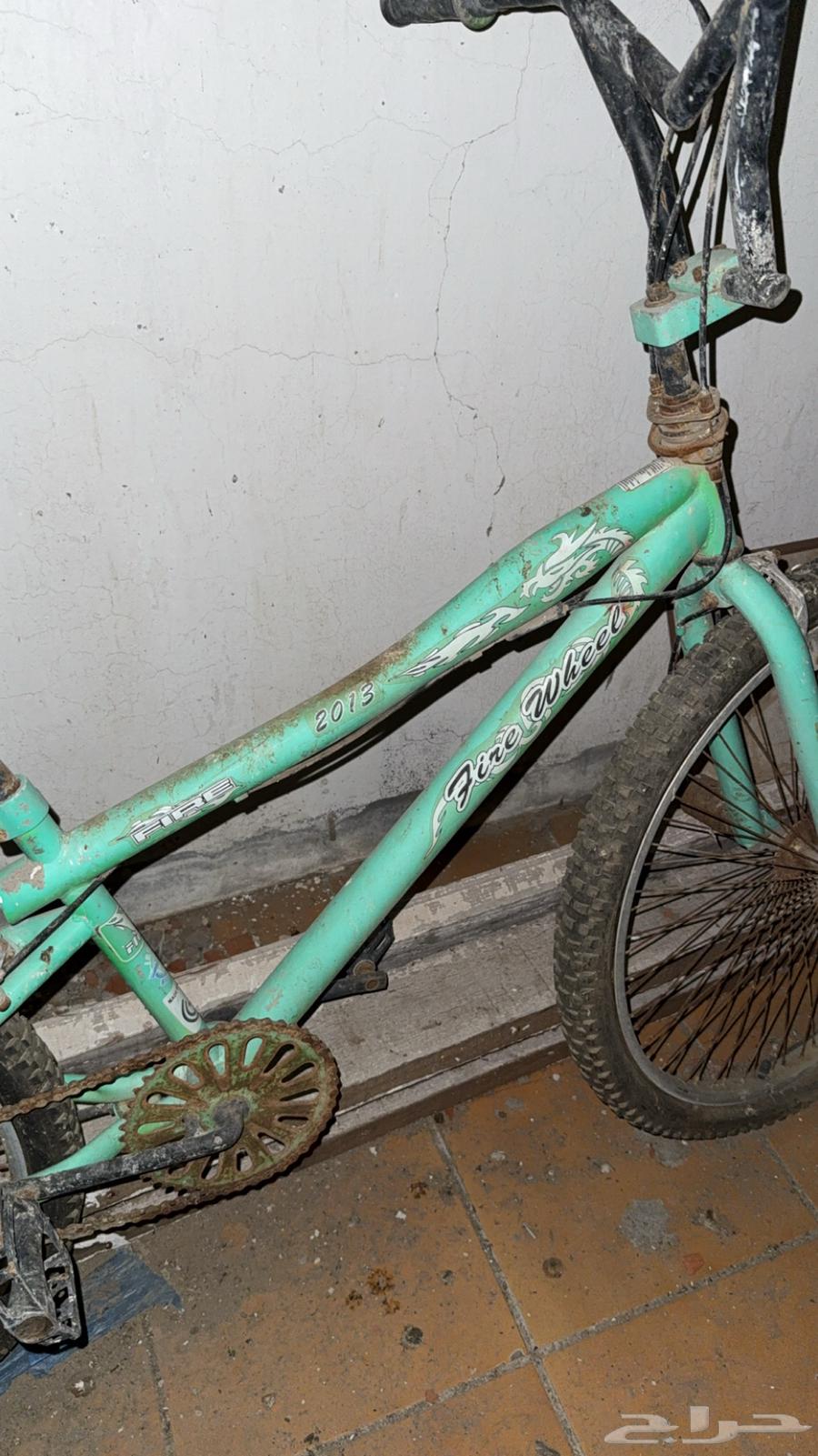 Cobra bike63050453041794111