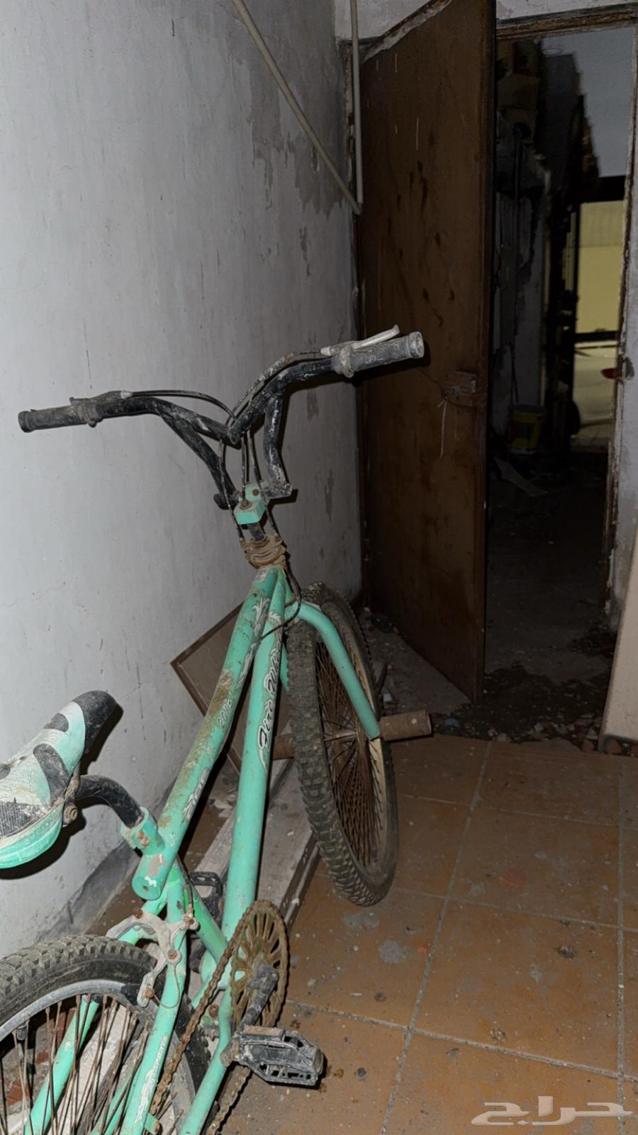 Cobra bike63050453041794112