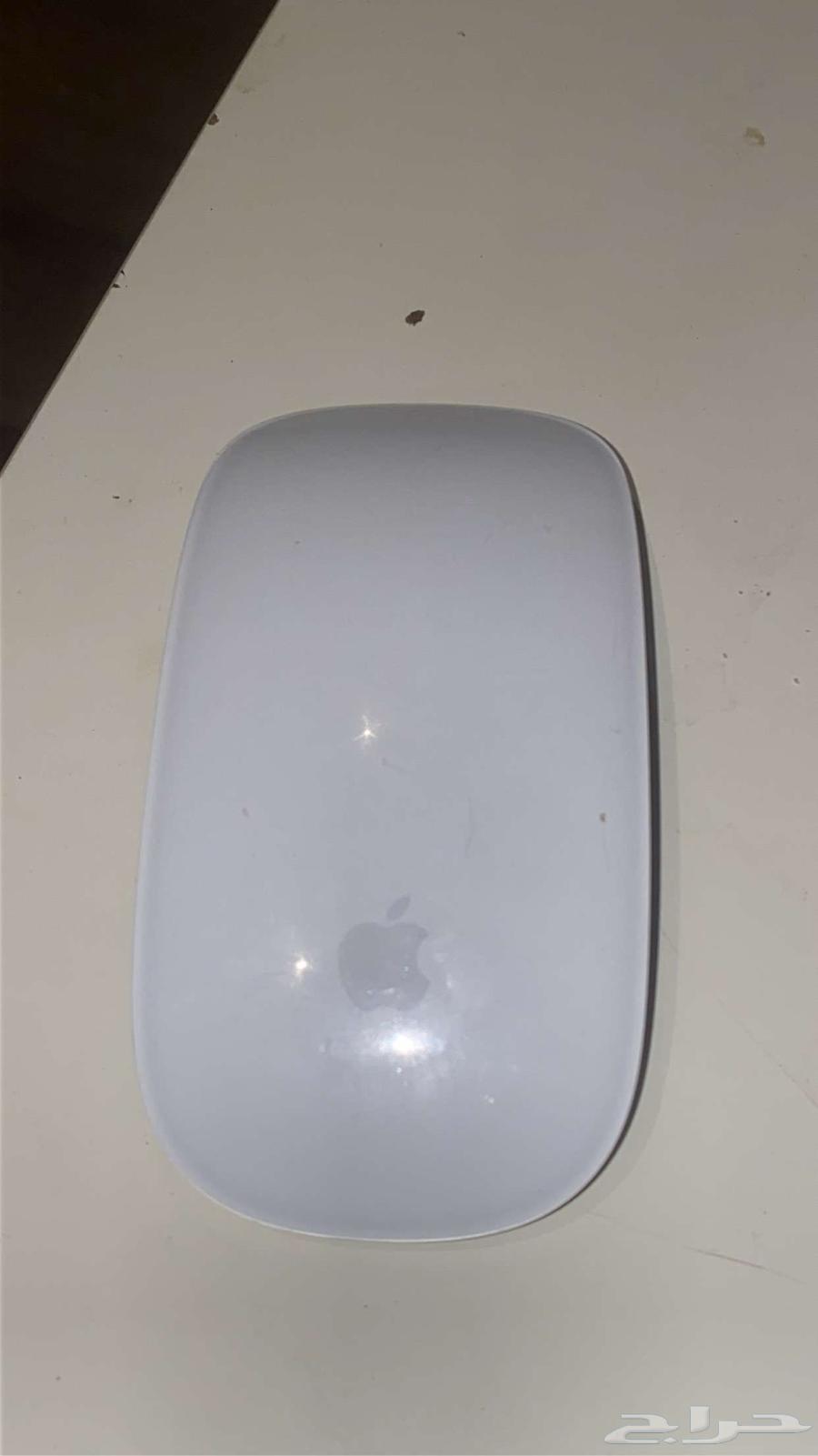 Apple Magic Mouse 263050002261763111