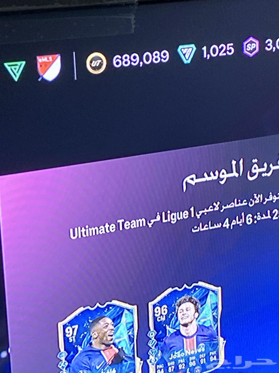 فيفا 25 كوينز630660270251531121