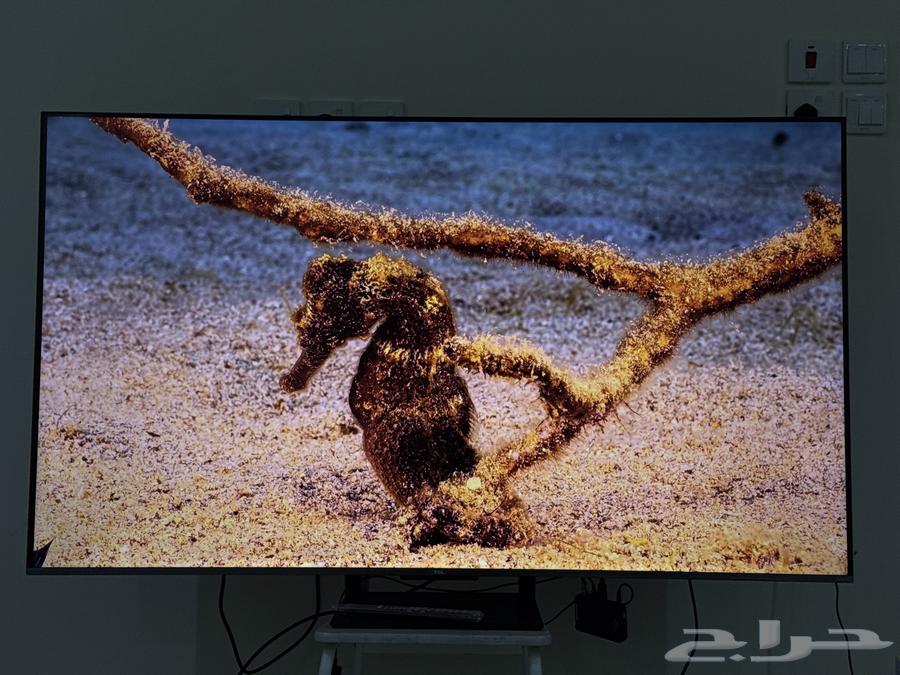 شاشة TCL 65 بوصة QLED 144Hr63067172789506113