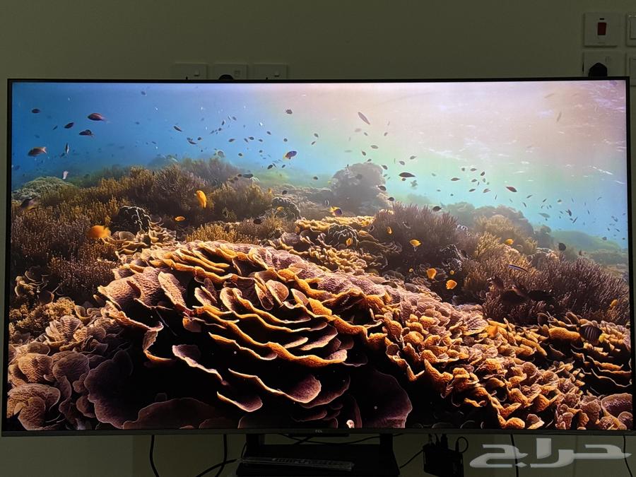 شاشة TCL 65 بوصة QLED 144Hr63067172789506114