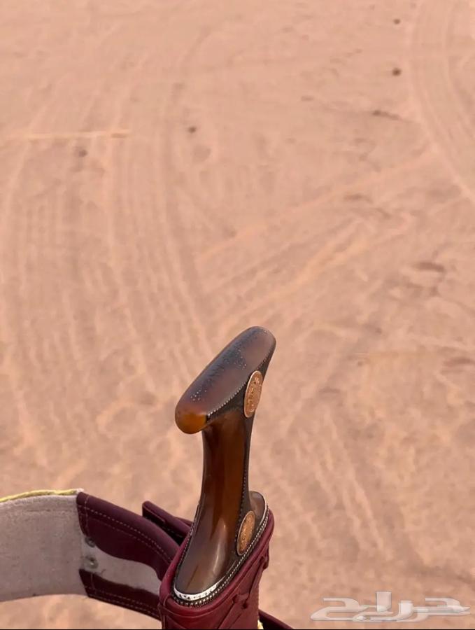 حك زراف صنعاني كفو63052069148803112