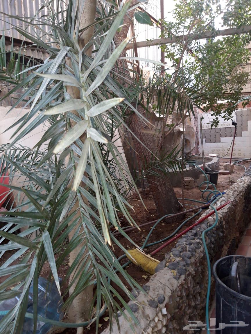 Villa for sale63012949059969113