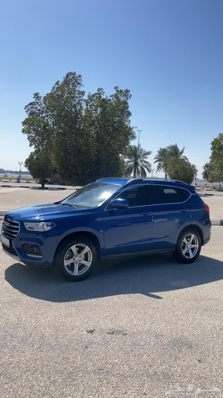 هافال 202063069486333185112