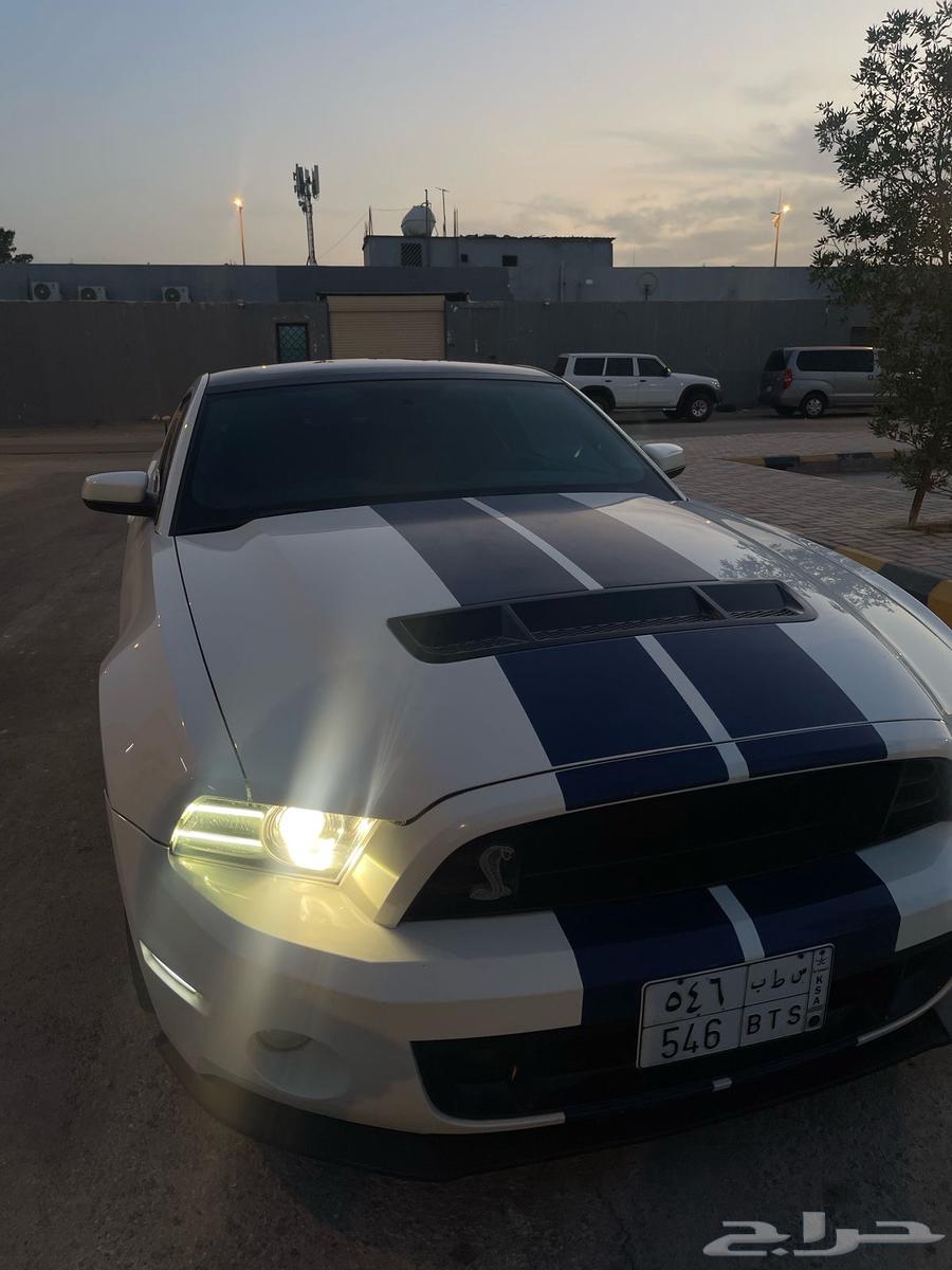 2013 Shelby Mustang GT500, top-tier model with manual transmission63221884568195111