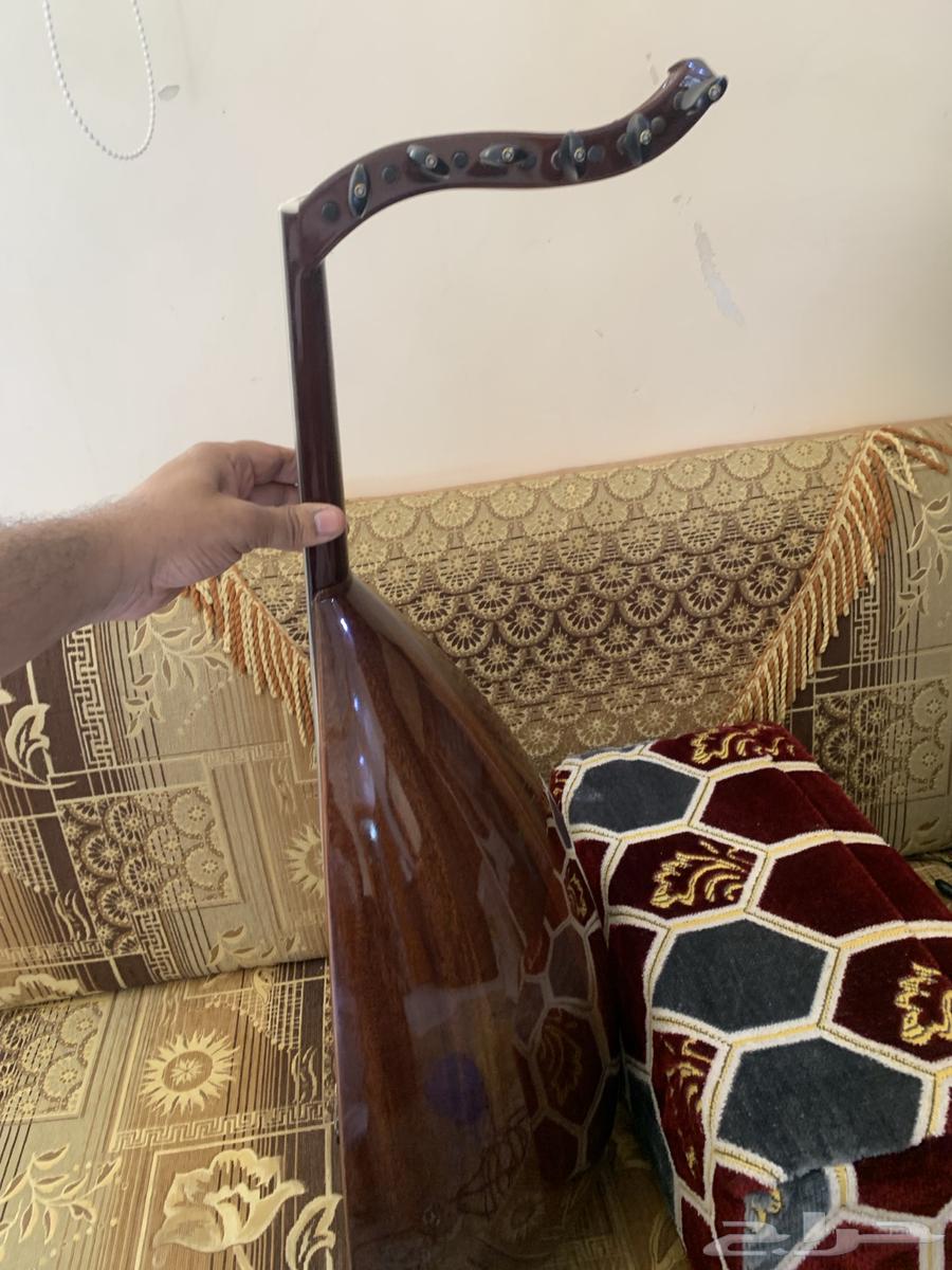 عود محمود داغر احترافي63048169923714112