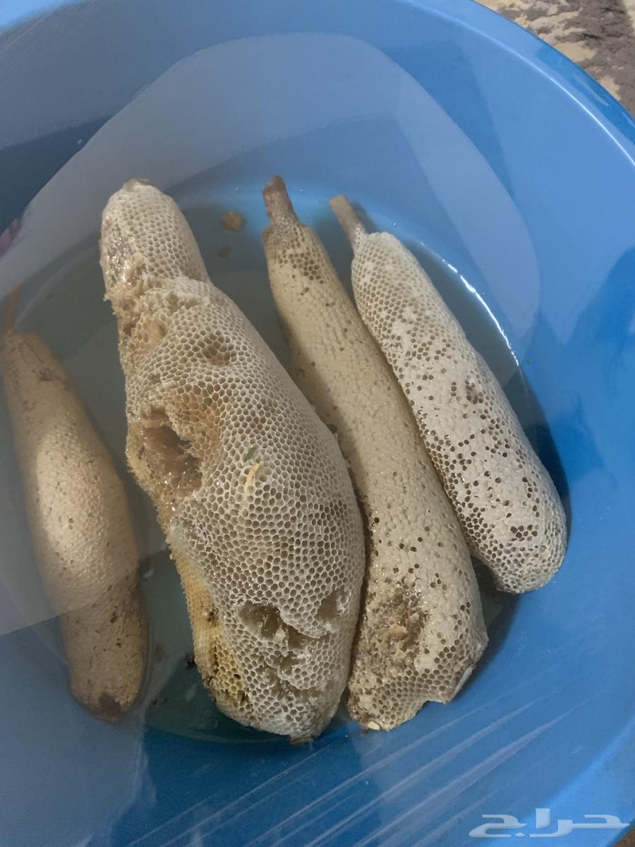 عسل طبيعي63048261899649112