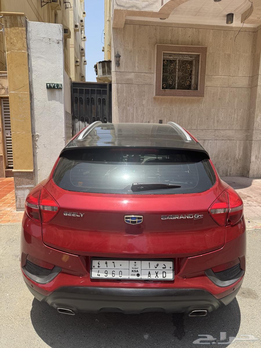 جيلى جريند أيس63068626105347112