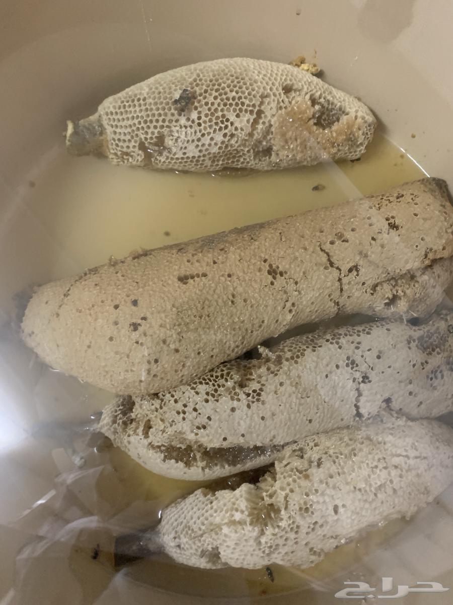 عسل طبيعي63048261899649114