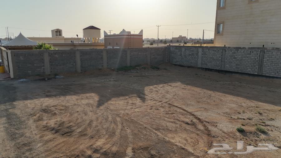 Land for sale in Al-Qasab 312m street 25m630142722800671111