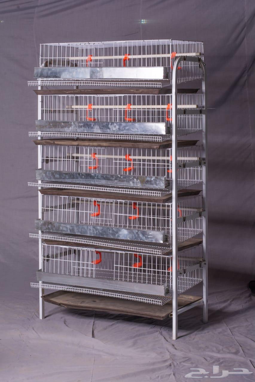 Battery (cage) white quail630485559546911113
