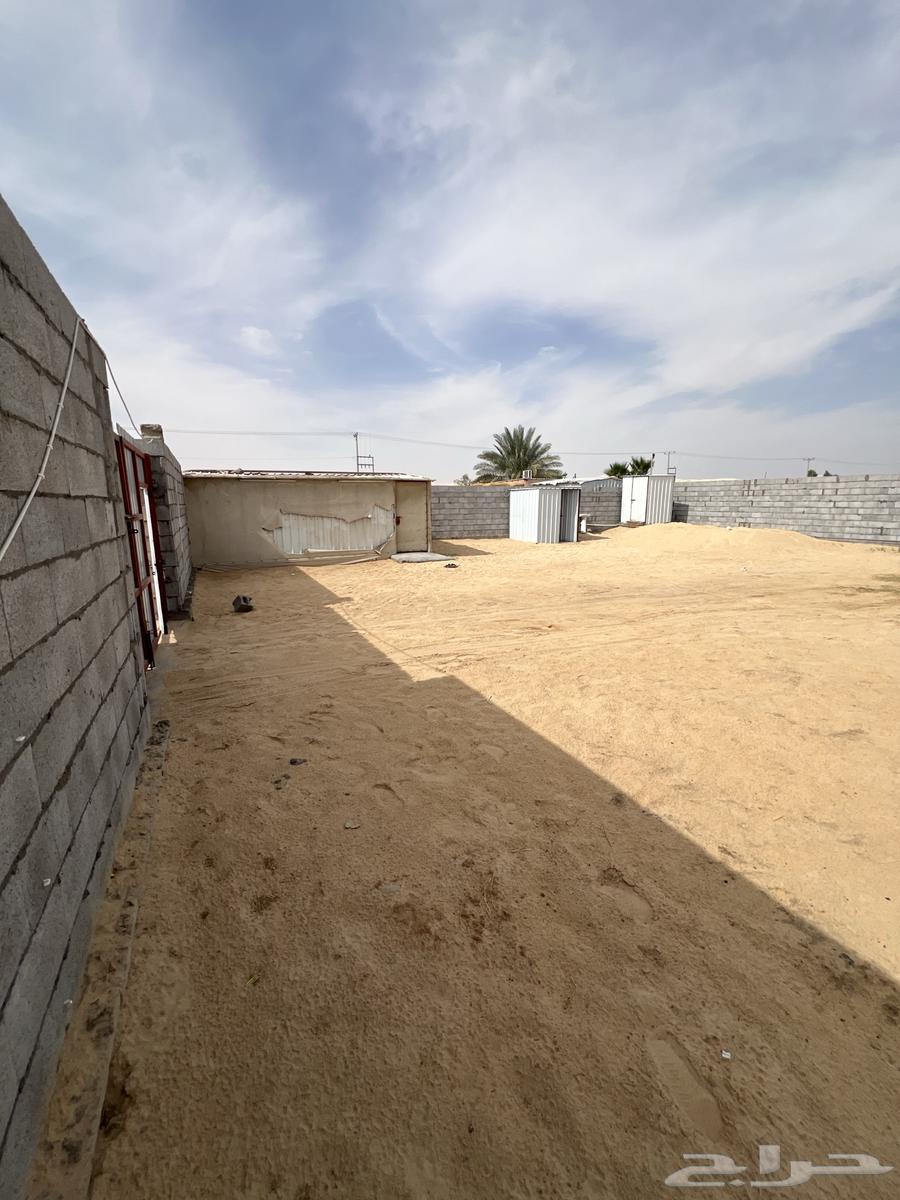 شبك ابل630441580913931115