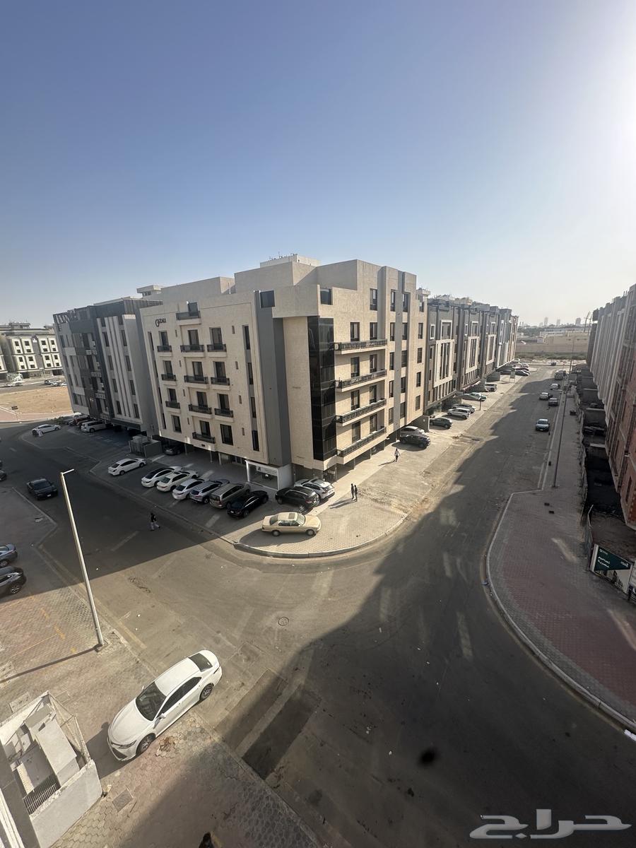 شقة للإيجار