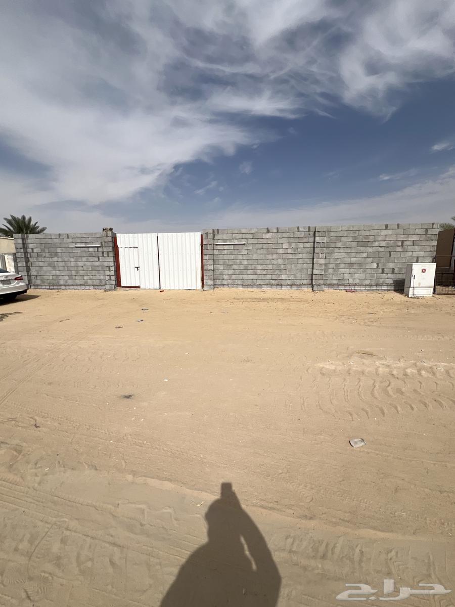 شبك ابل63044158091393112