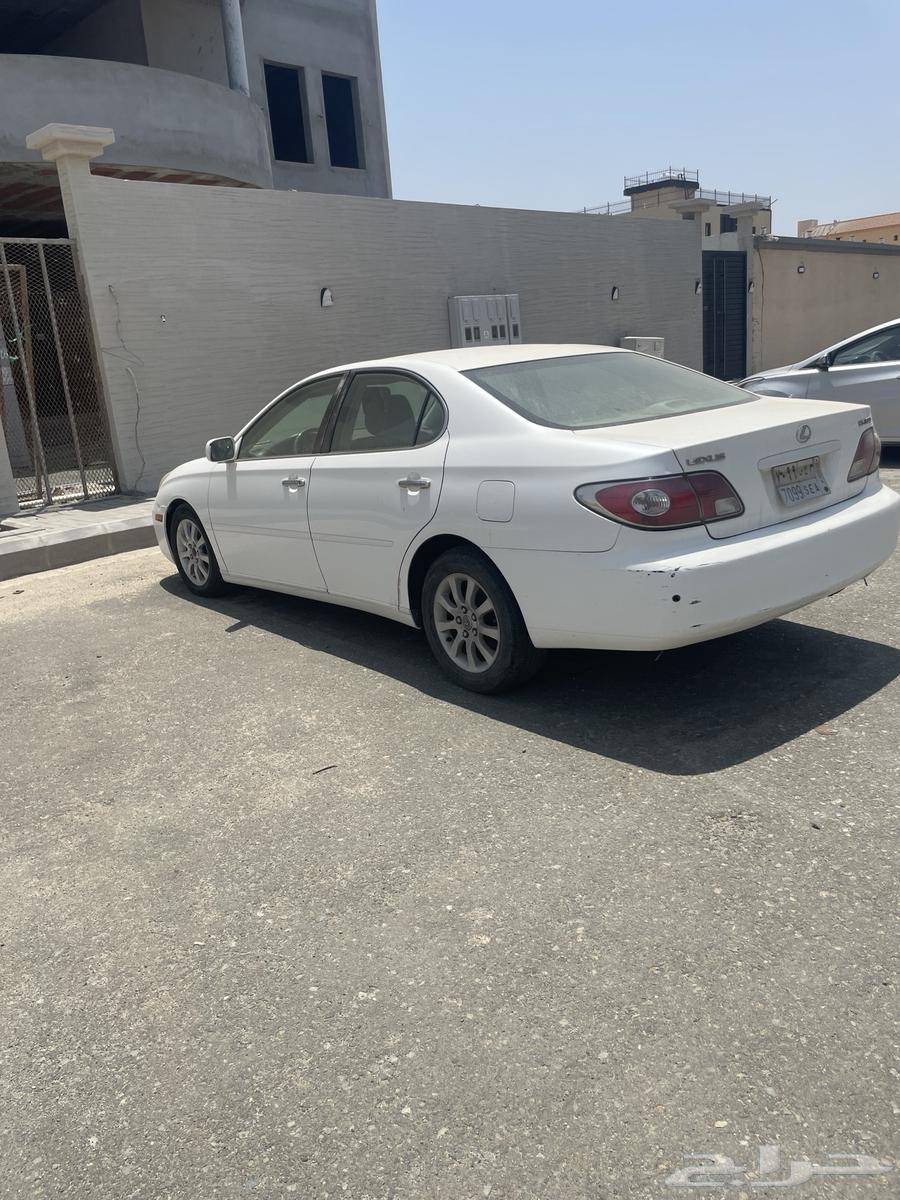 Tetanus model 200263066225663362110