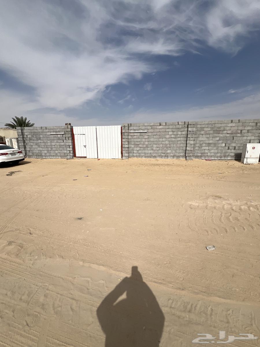 شبك ابل63044158091393113