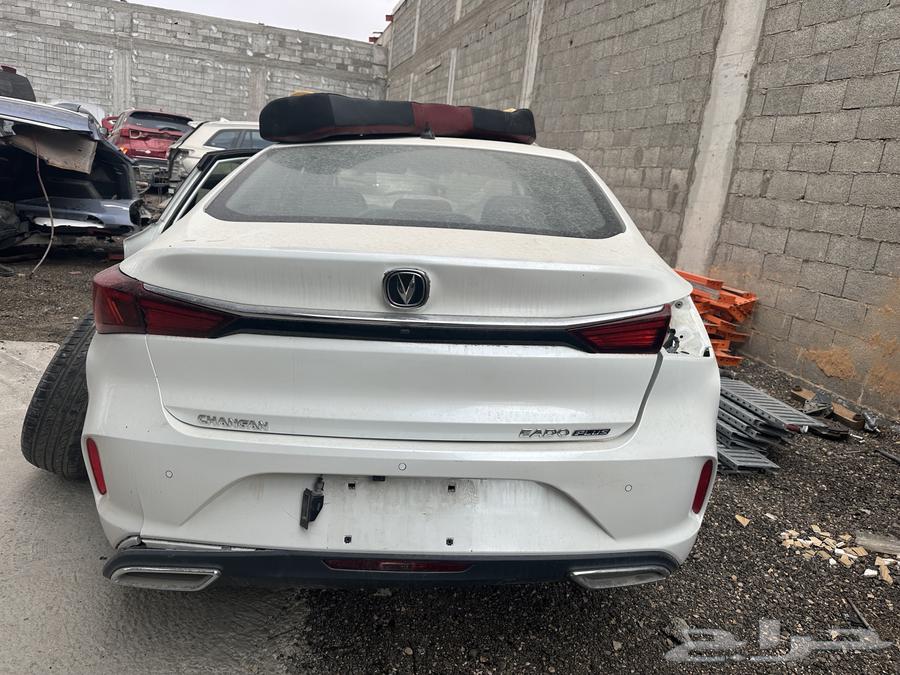 تشليح ايدو بلص 202363063854524290111