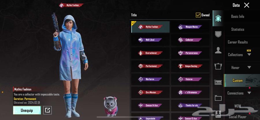 PUBG account63046280645506113