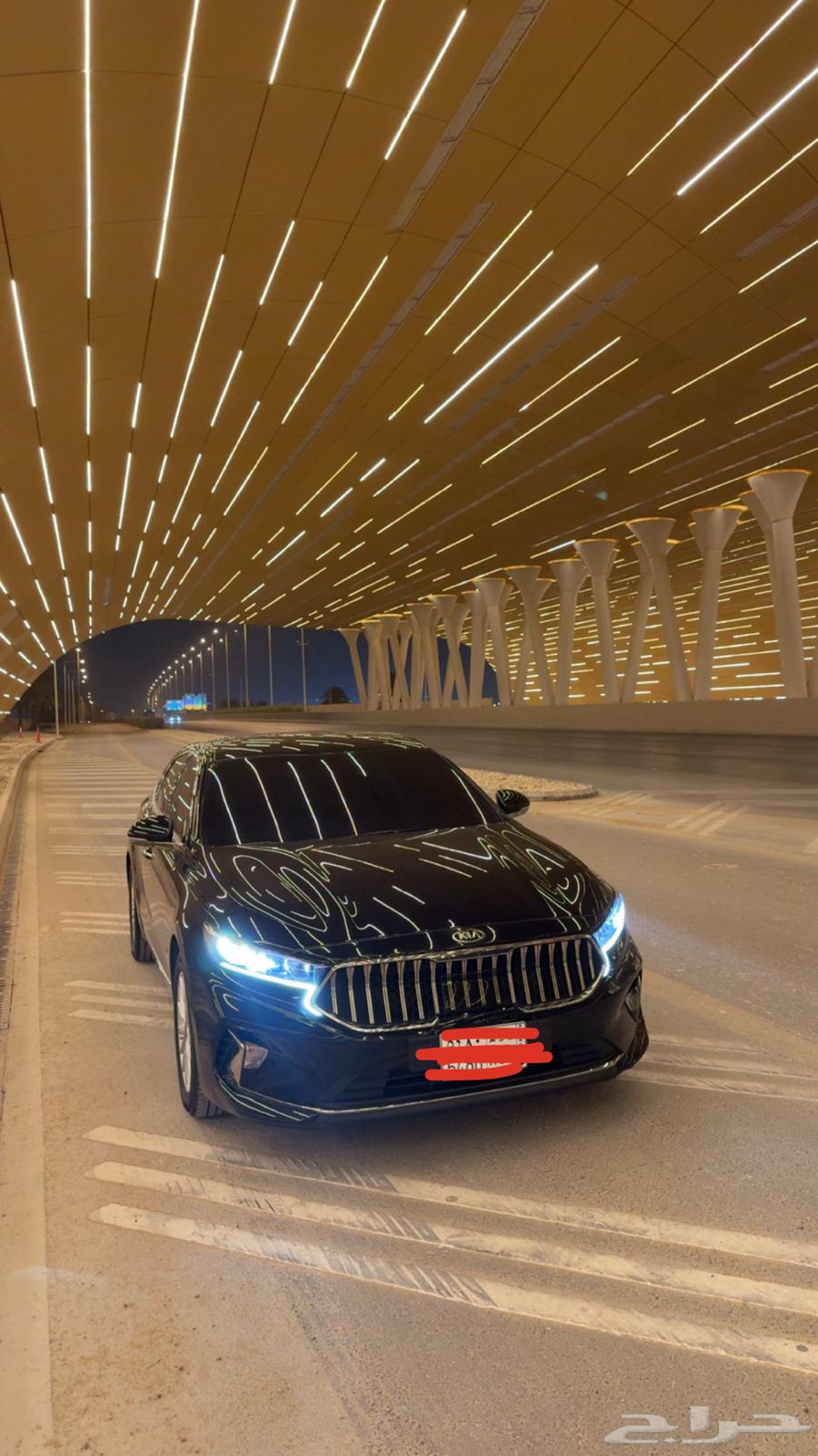 كادينزا 2021 (K7)63062744331138113