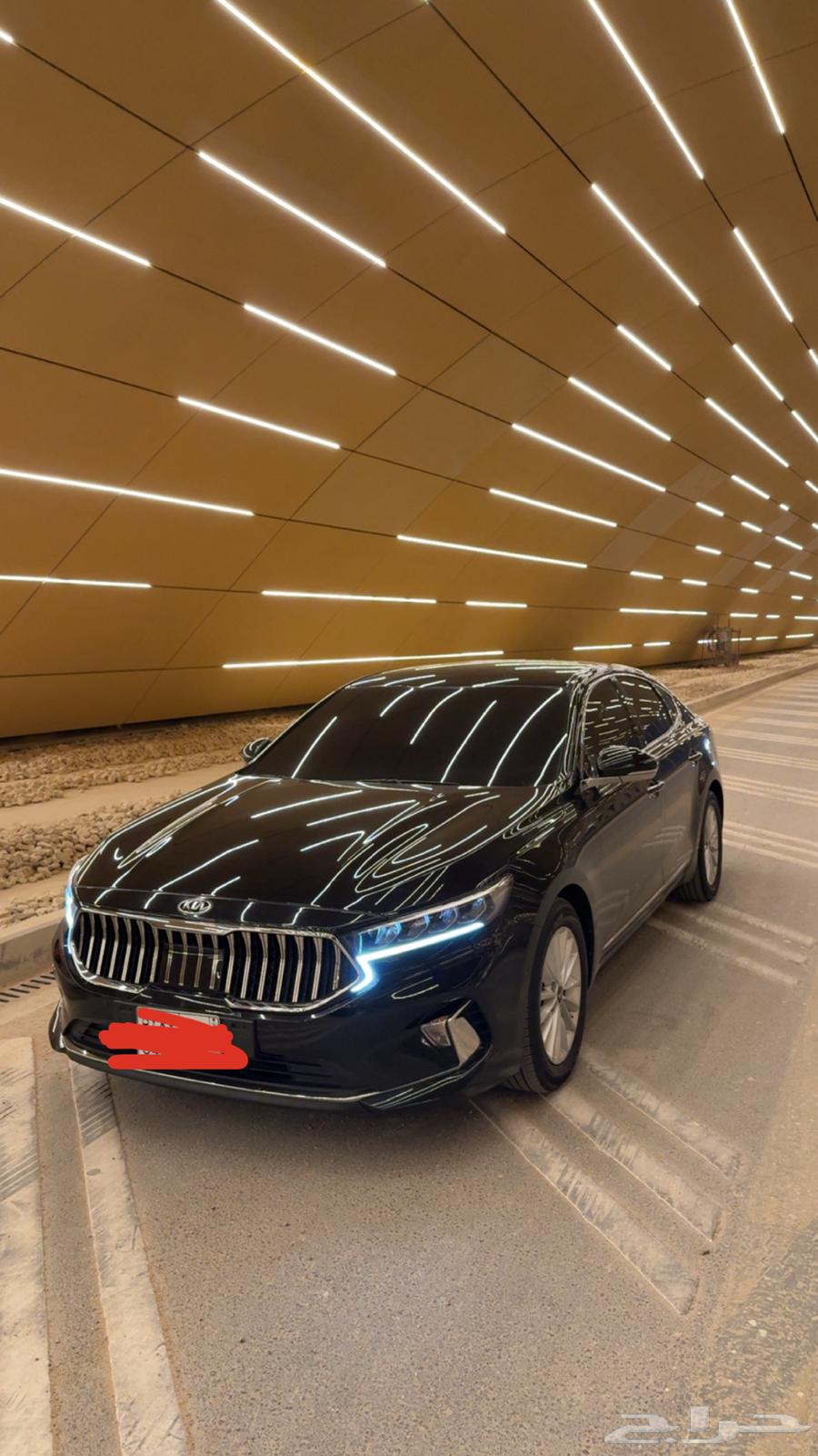 كادينزا 2021 (K7)63062744331138114