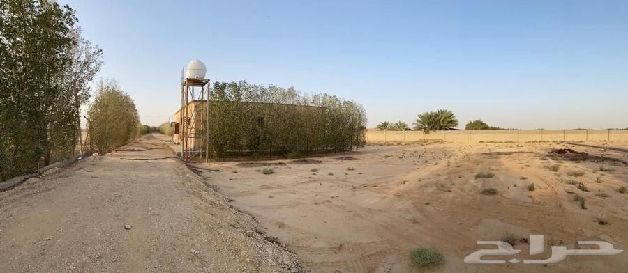 For sale, a rest house in Dharimah63004099059202111