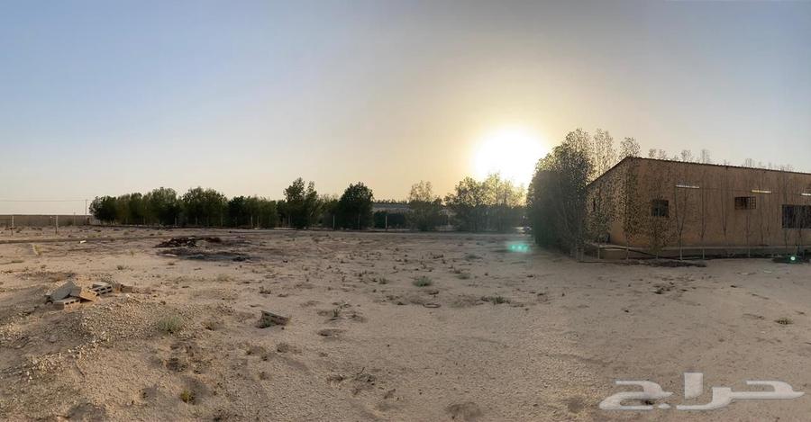 For sale, a rest house in Dharimah63004099059202113