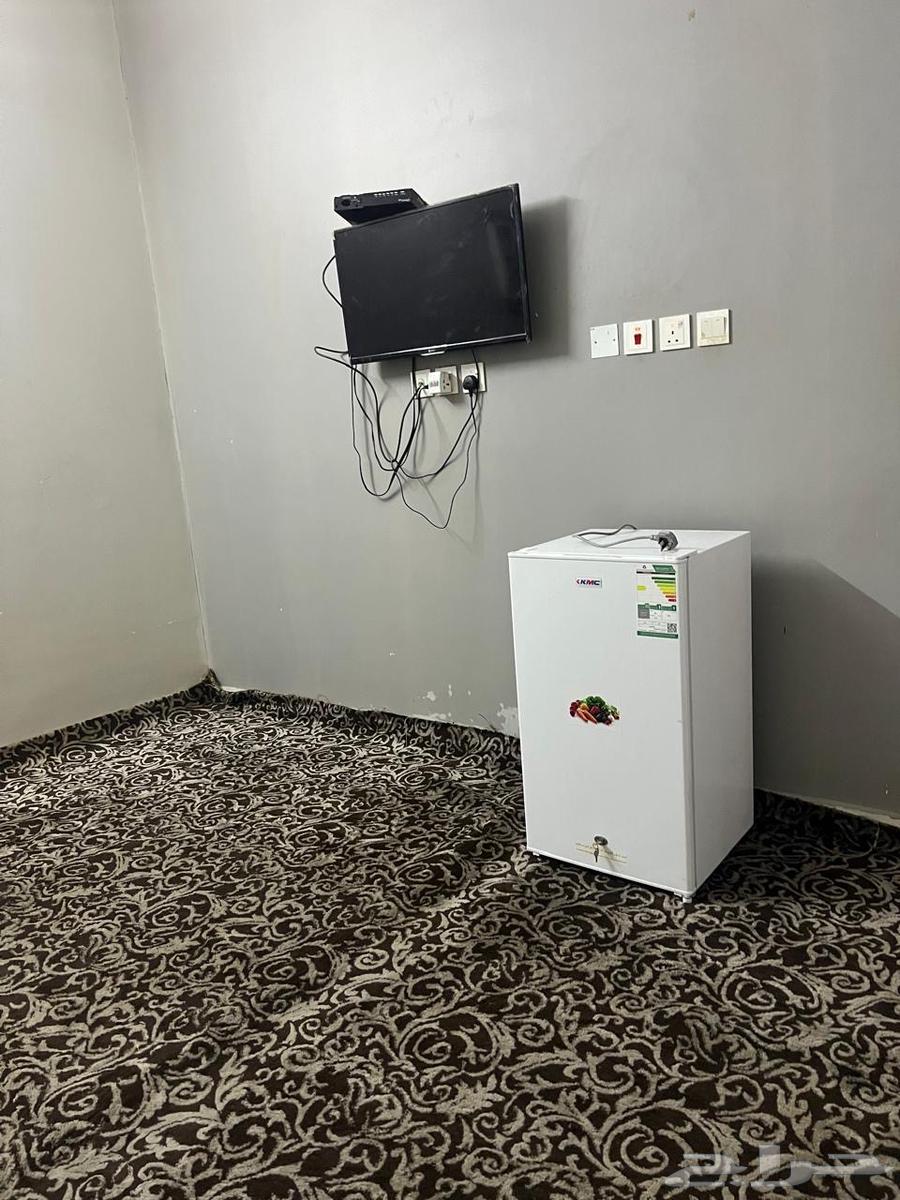 شقق عزاب لإيجار الشهر مكونه من غرفه مفروشه سقف مسلح نظيفه63010914734723114