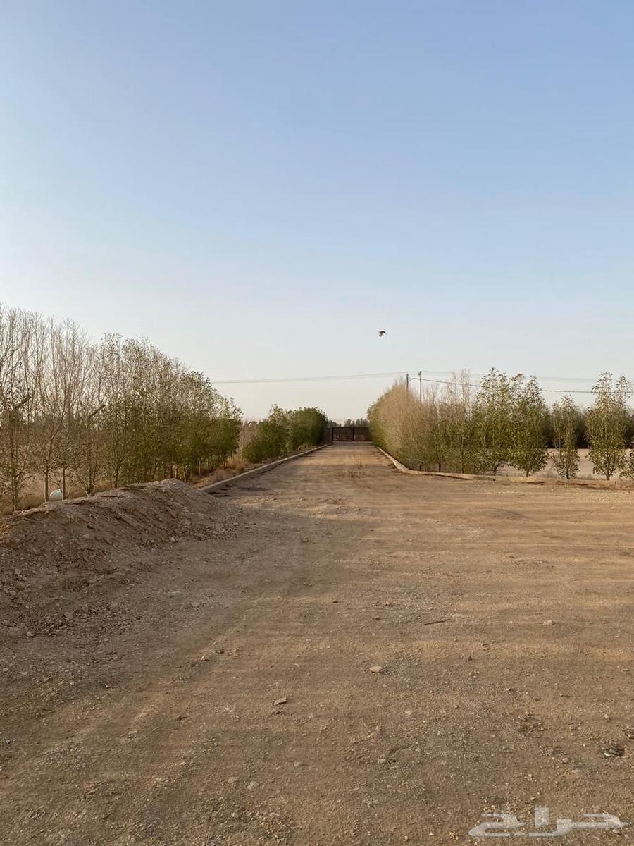 For sale, a rest house in Dharimah63004099059202112