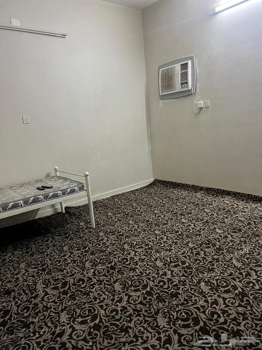شقق عزاب لإيجار الشهر مكونه من غرفه مفروشه سقف مسلح نظيفه63010914734723113