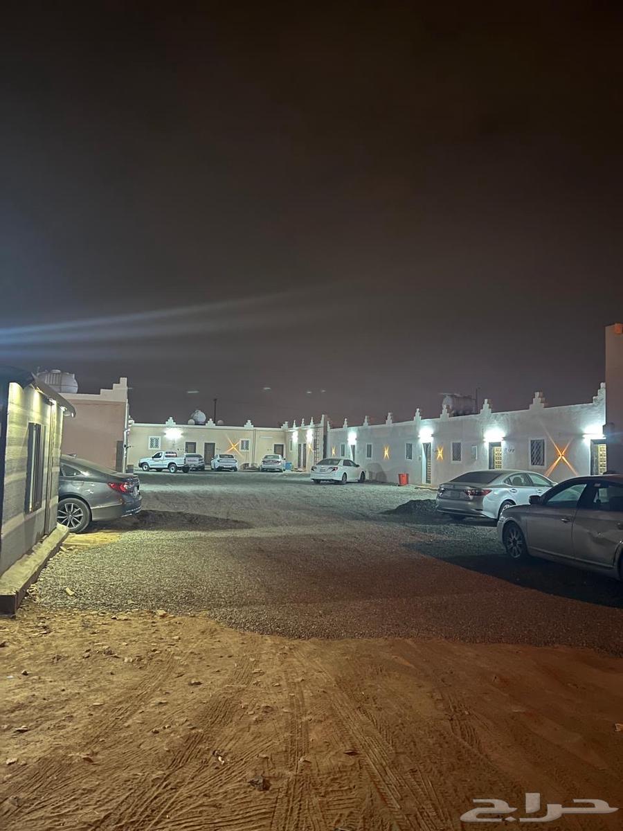 شقق عزاب لإيجار الشهر مكونه من غرفه مفروشه سقف مسلح نظيفه630109147347231116