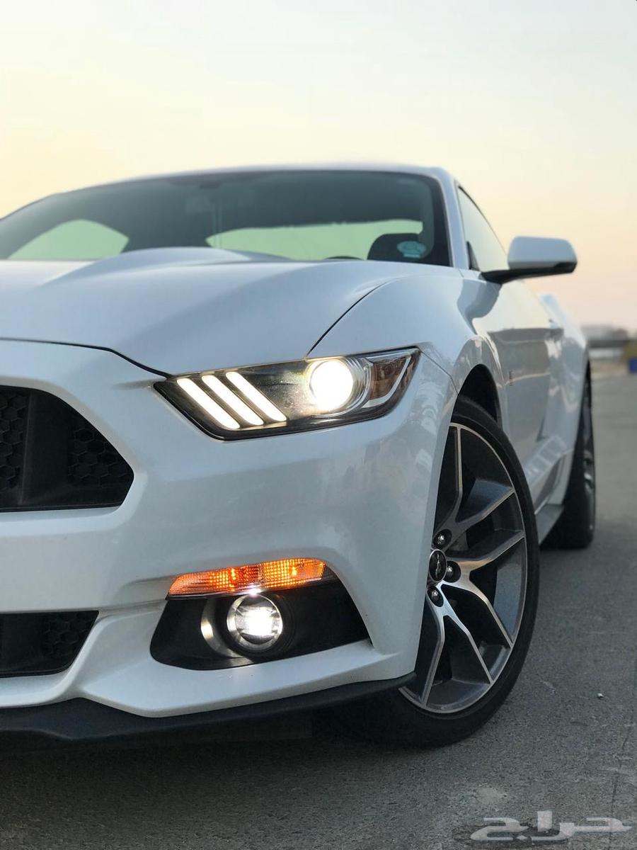 موستنق 2015 ecoboost63062003114627111