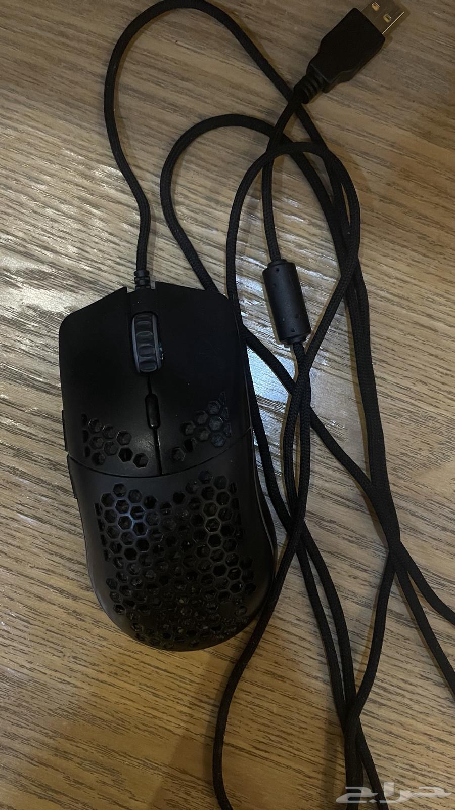 Gloria mouse63042523824515111