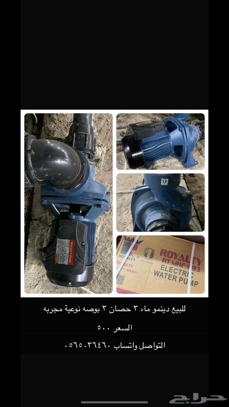 Dynamo63038669188739113