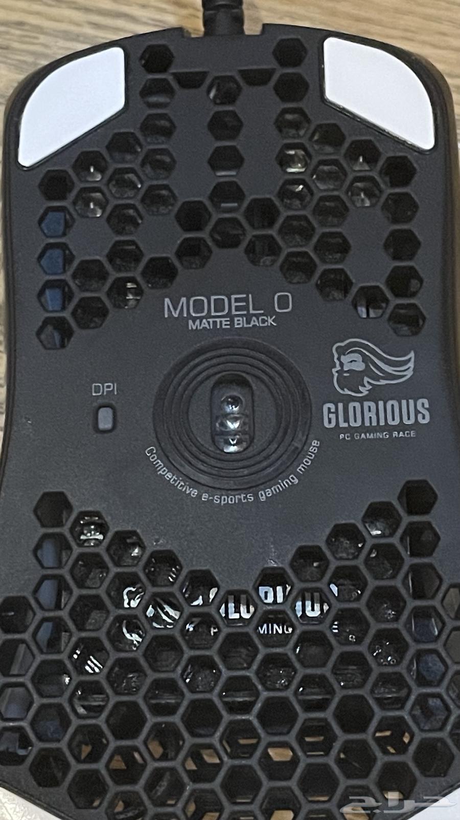 Gloria mouse630425238245151126