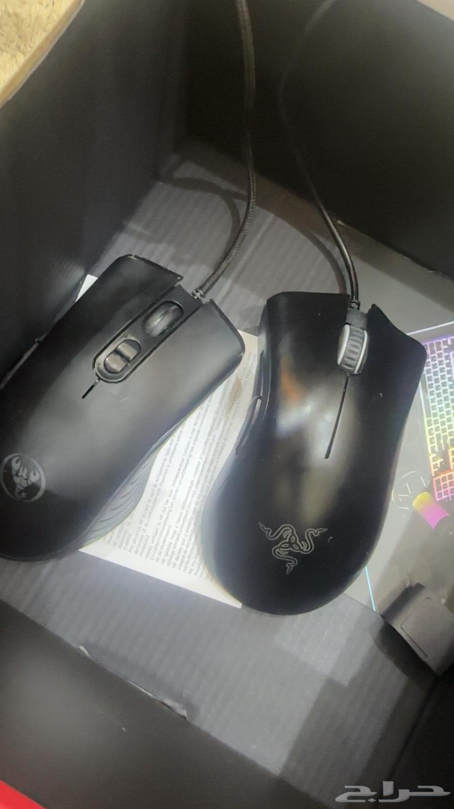 The mouse is his new brother63041205296897111