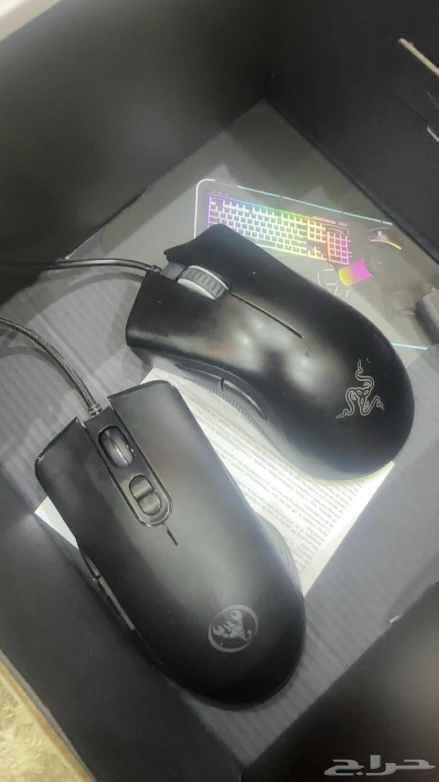 The mouse is his new brother630412052968971127