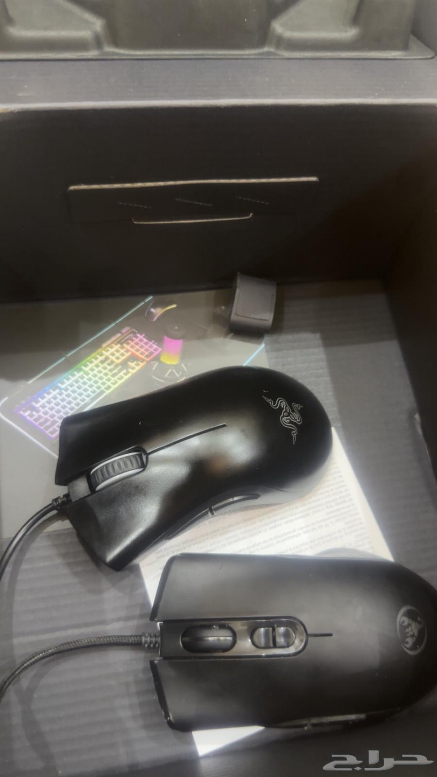 The mouse is his new brother63041205296897112