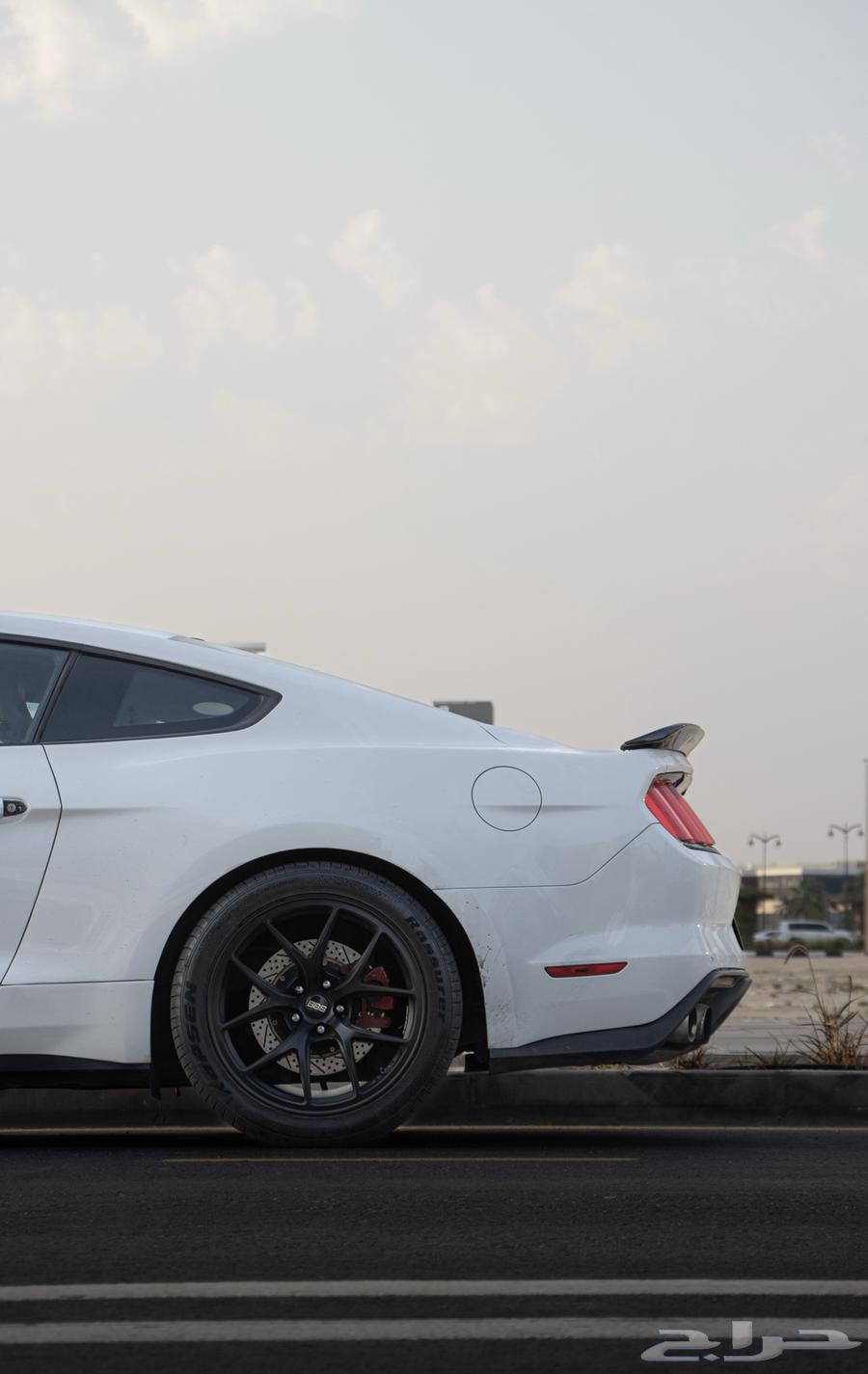 موستنق GT 201563055076564993113