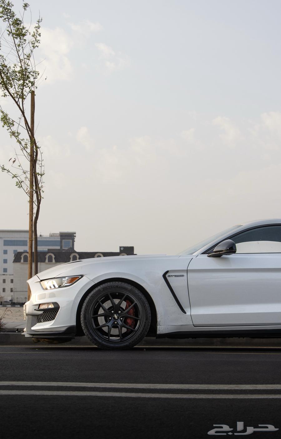 موستنق GT 201563055076564993111