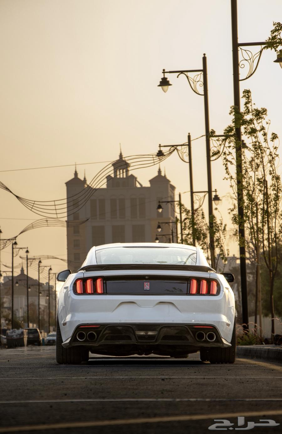 موستنق GT 201563055076564993112