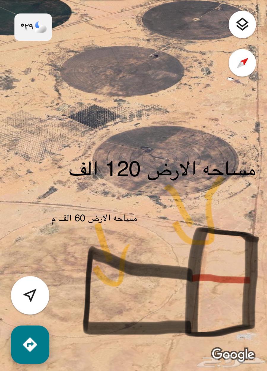 ارض للبيع