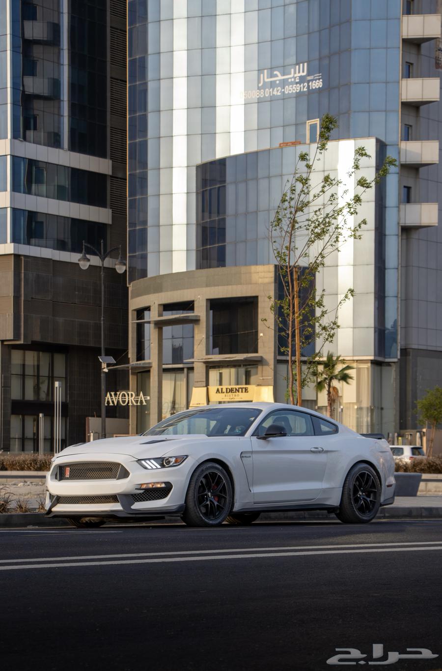 موستنق GT 201563055076564993114