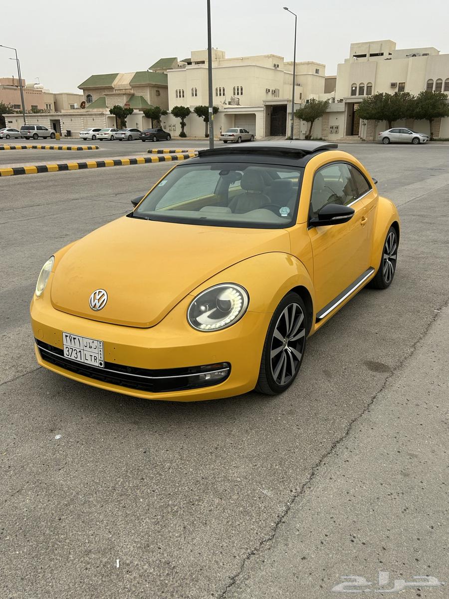 Beetle 2015 Full Model63056287440258112