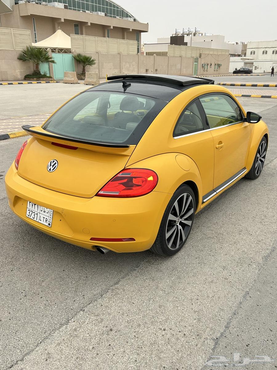Beetle 2015 Full Model63056287440258114