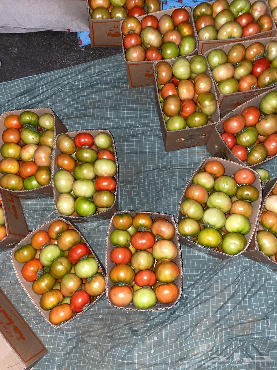 There are tomatoes for sale630131203480331124